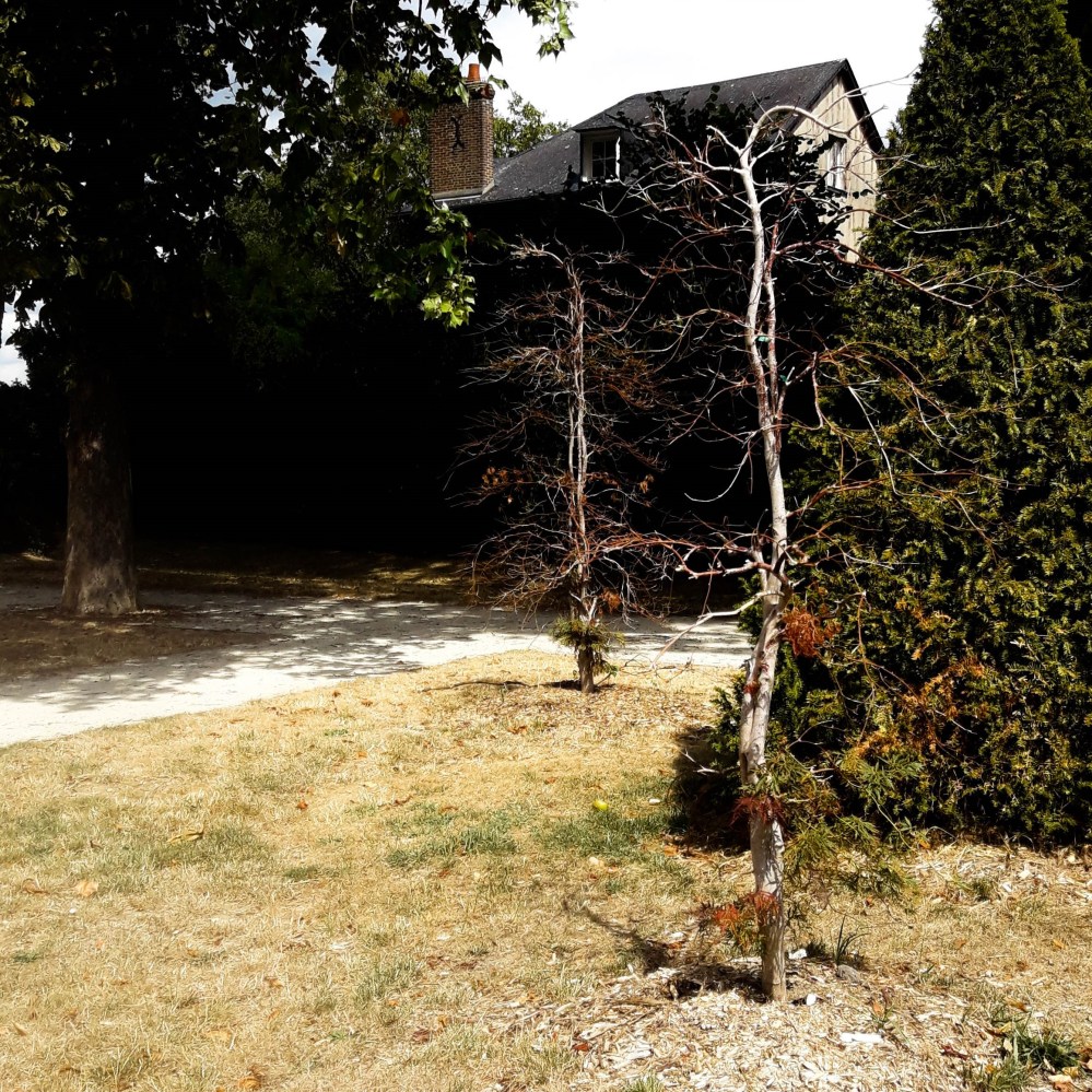 jardin du cloitre 6.jpg