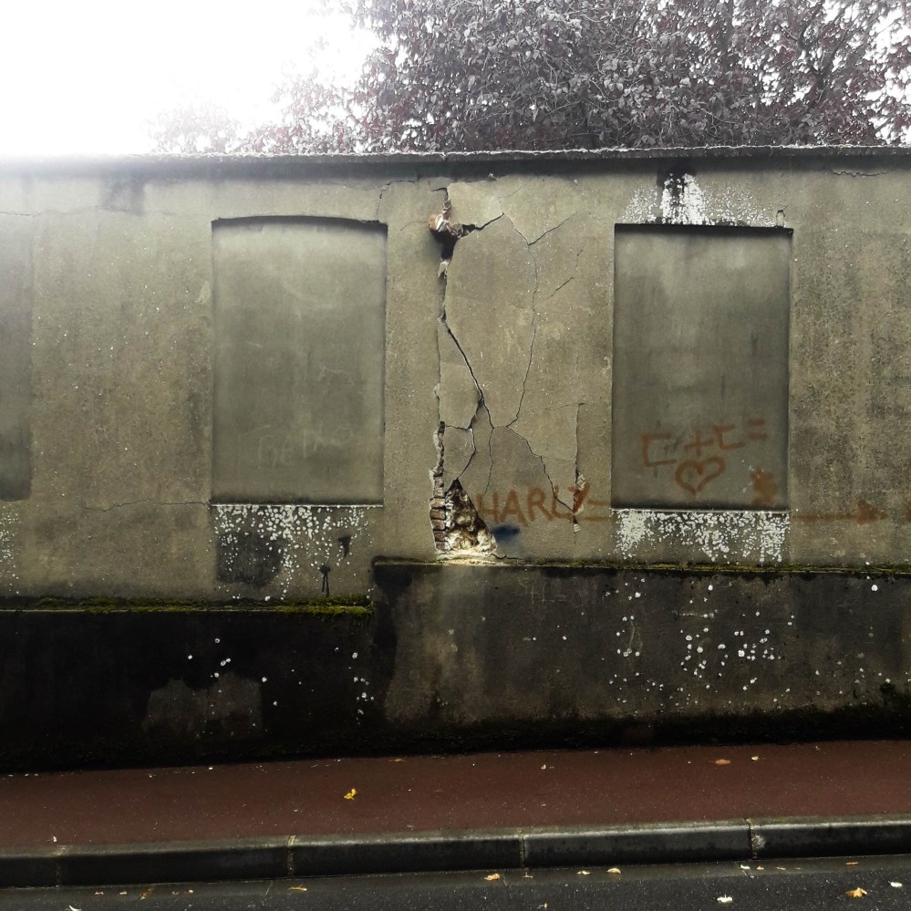 la voie 15 focus.jpg