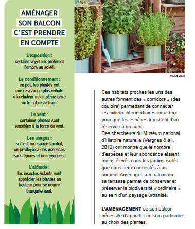 Screenshot_2019-08-13 GUIDE-Balcon-web pdf(2).png