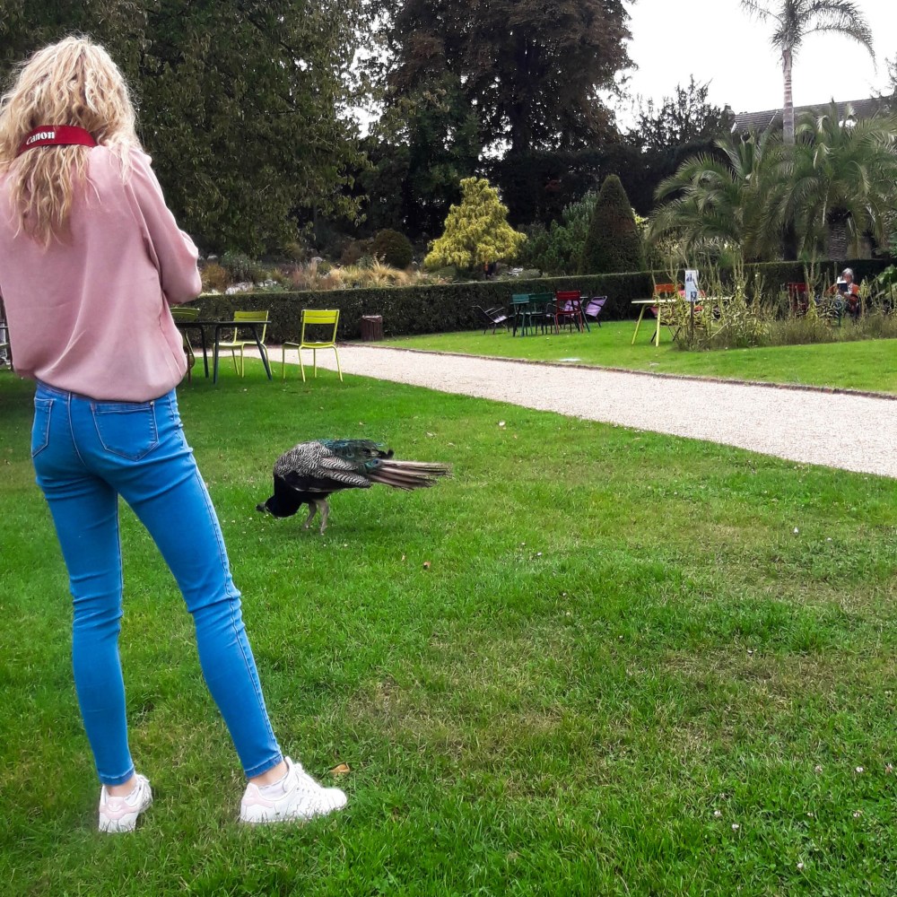 rencontre 1 bis ab.jpg