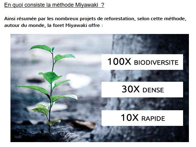 Screenshot_2019-09-24 Planter une foret urbaine une foret native selon la méthode Miyawaki .png